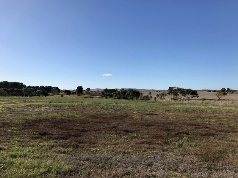 521 Schuster Street, Freeling SA 5372