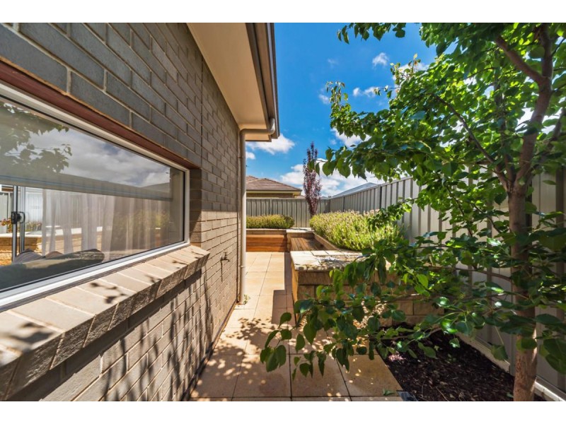 16 Isaacs Way, Evanston South SA 5116