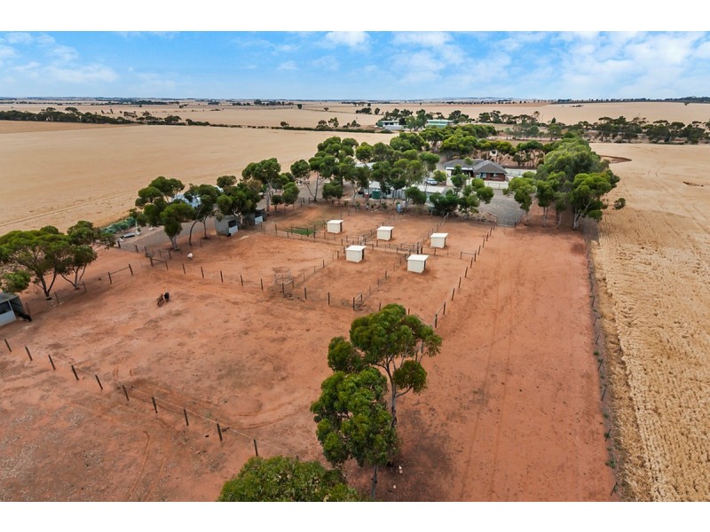 427 Stott Road (Magdala), Roseworthy SA 5371