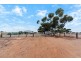 427 Stott Road (Magdala), Roseworthy SA 5371