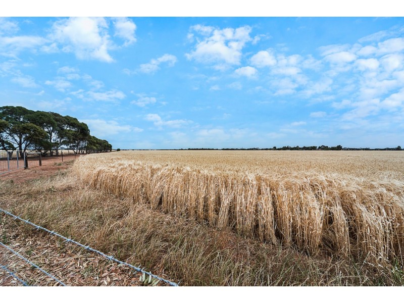 427 Stott Road (Magdala), Roseworthy SA 5371