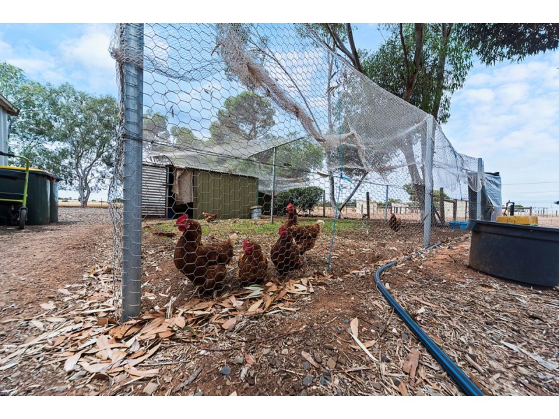 427 Stott Road (Magdala), Roseworthy SA 5371