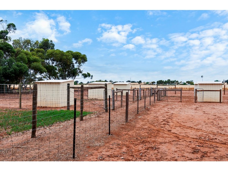 427 Stott Road (Magdala), Roseworthy SA 5371