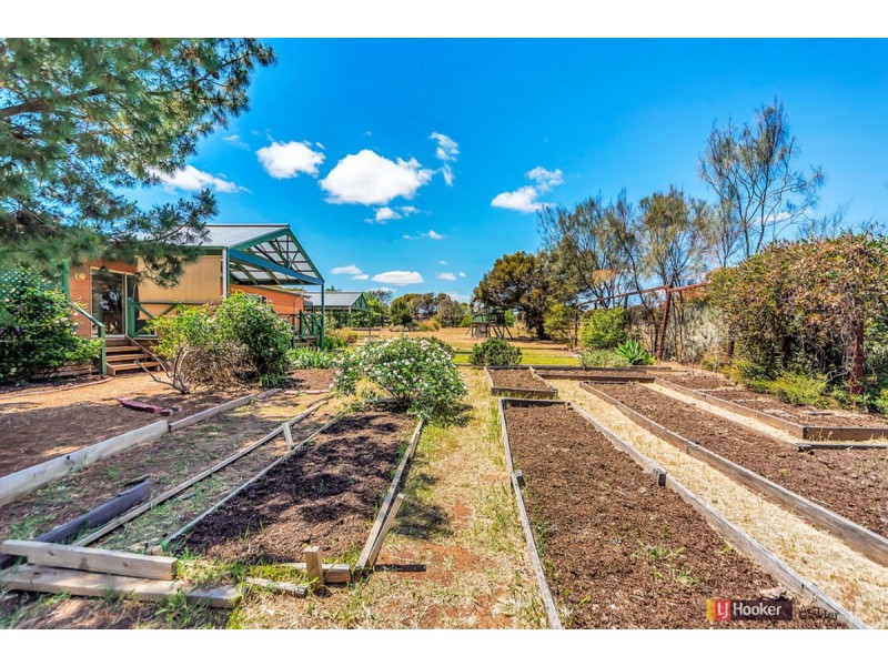 6 Rose Drive, Roseworthy SA 5371
