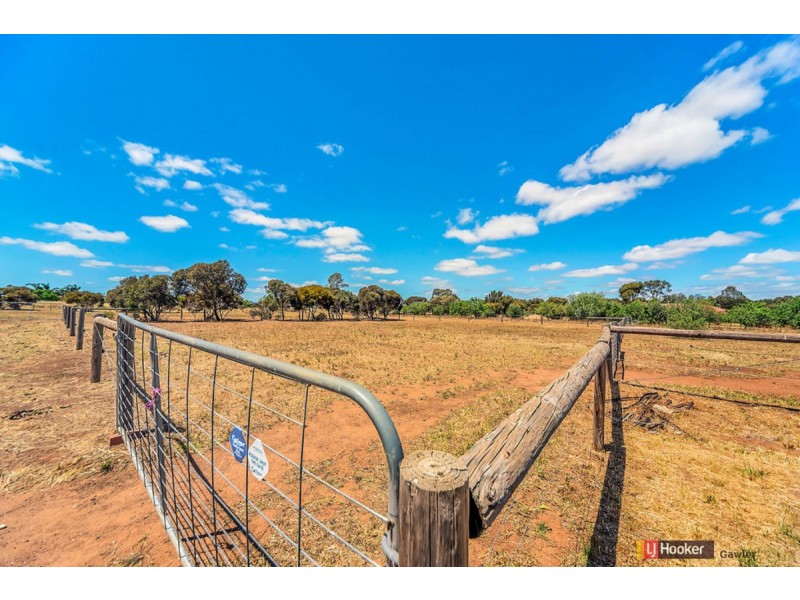6 Rose Drive, Roseworthy SA 5371