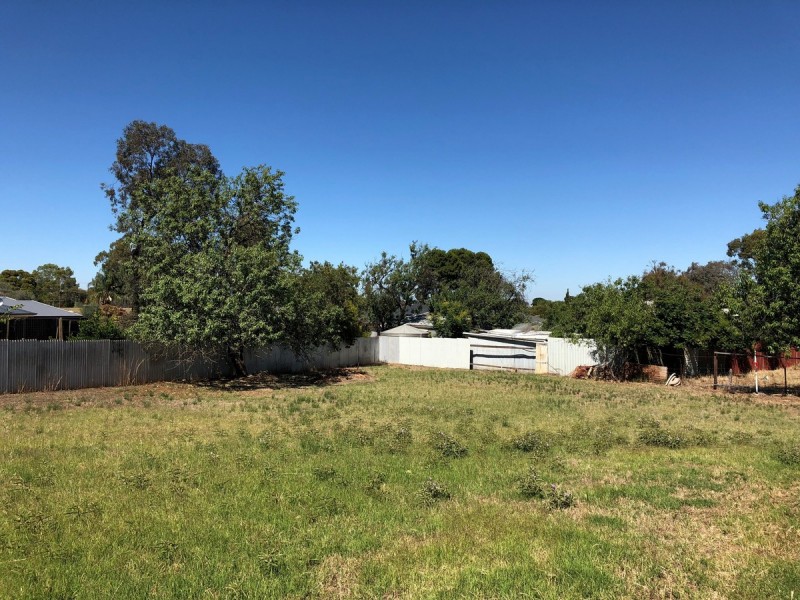 86 Murray Road, Willaston SA 5118