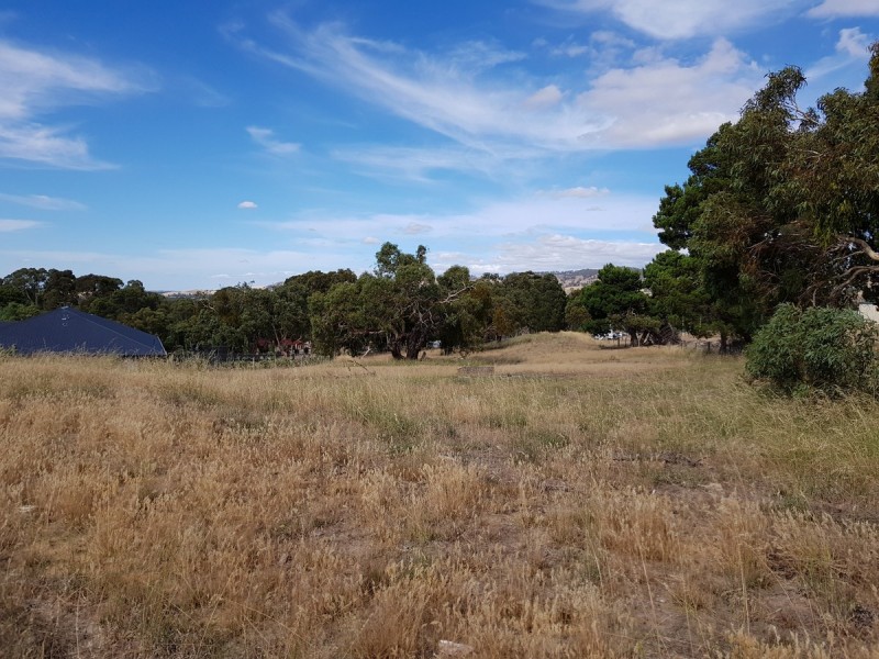 3 Mewett Court, Williamstown SA 5351