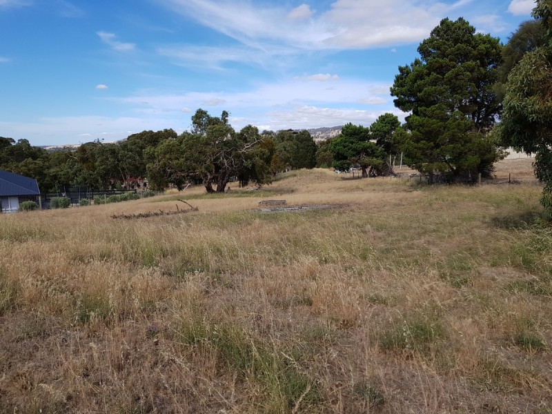 3 Mewett Court, Williamstown SA 5351