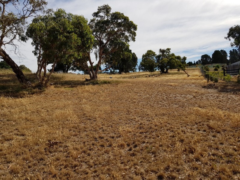 3 Mewett Court, Williamstown SA 5351