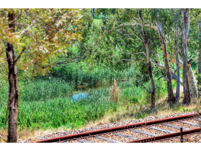 37A Blanch Street, Gawler East SA 5118