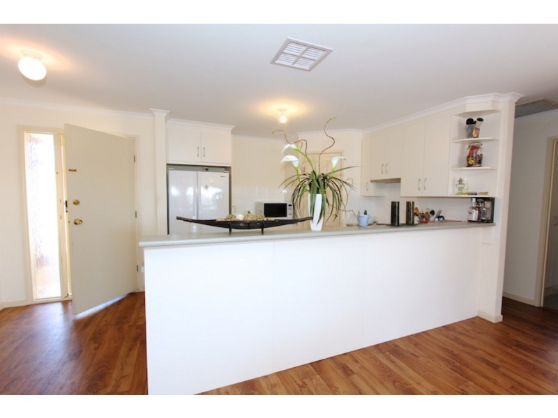 1E Young Terrace, Evanston Gardens SA 5116