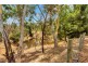 136 Bassnet Road (Humbug Scrub), One Tree Hill SA 5114