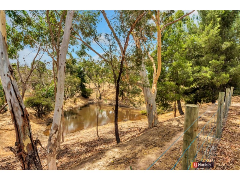 136 Bassnet Road (Humbug Scrub), One Tree Hill SA 5114