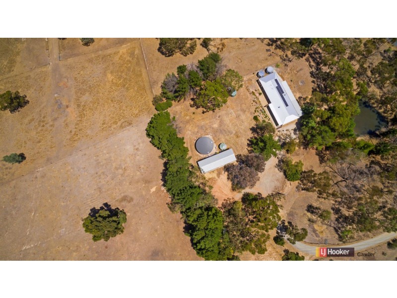 136 Bassnet Road (Humbug Scrub), One Tree Hill SA 5114