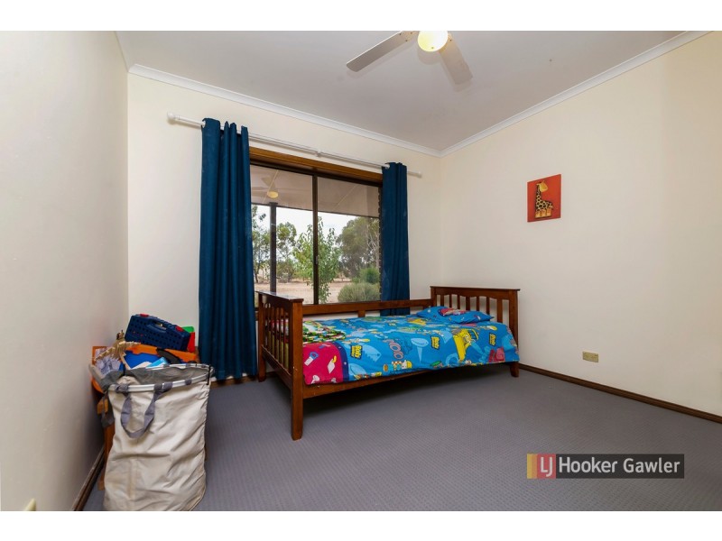 47 Clancy Road, Gawler Belt SA 5118