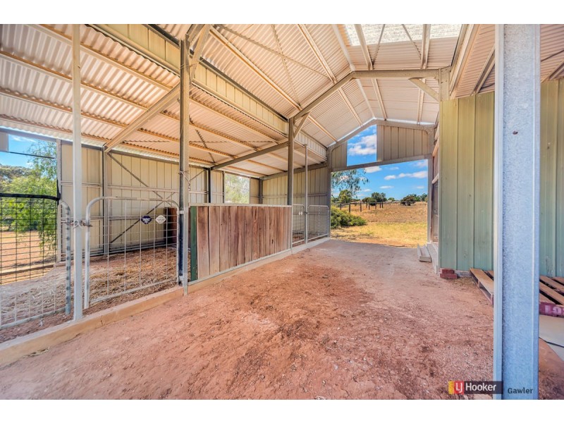 6 Rose Drive, Roseworthy SA 5371