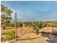 37 South Terrace, Eudunda SA 5374
