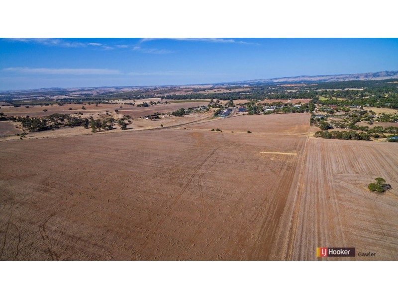 Lot 202 Barossa Valley Way, Sandy Creek SA 5350