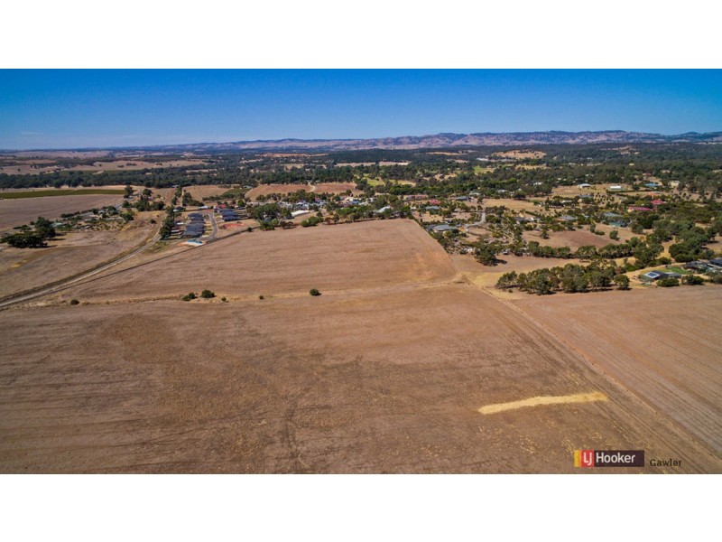 Lot 202 Barossa Valley Way, Sandy Creek SA 5350
