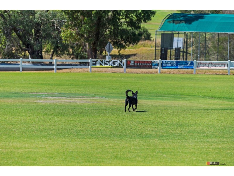 Lot 202 Barossa Valley Way, Sandy Creek SA 5350