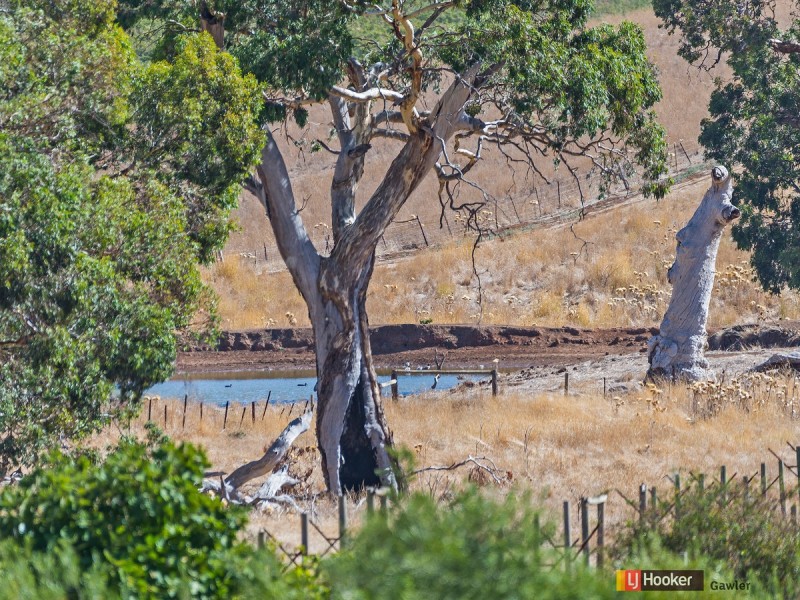 Lot 5 & 6 Craigmore Road, Uleybury SA 5114