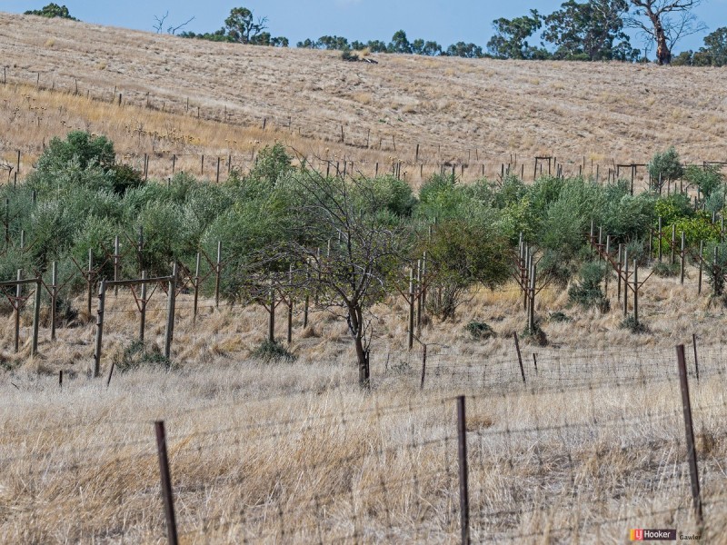 Lot 5 & 6 Craigmore Road, Uleybury SA 5114