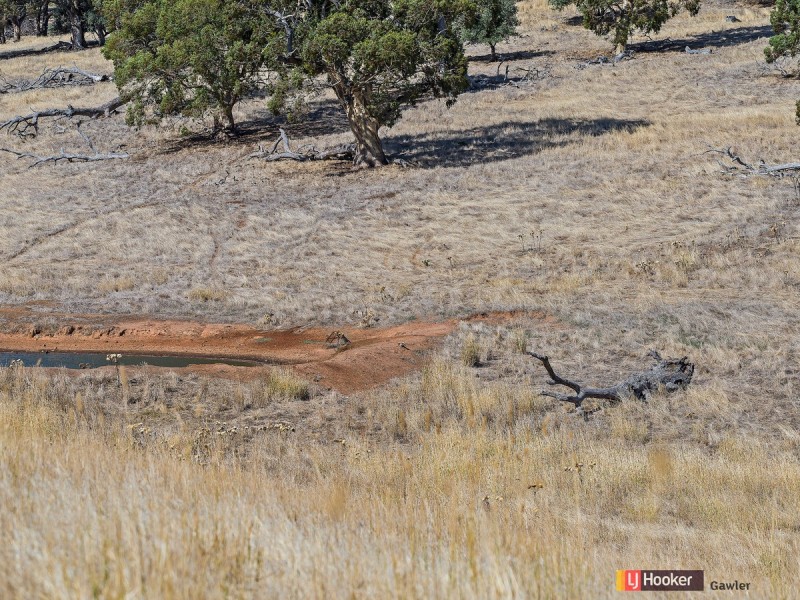 Lot 5 & 6 Craigmore Road, Uleybury SA 5114