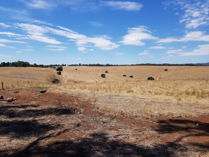 Lot 5 & 6 Craigmore Road, Uleybury SA 5114