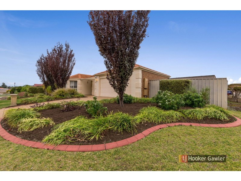 24 Angas Avenue, Evanston Park SA 5116