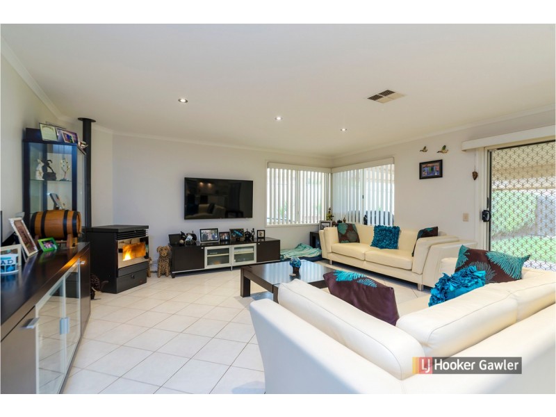 24 Angas Avenue, Evanston Park SA 5116