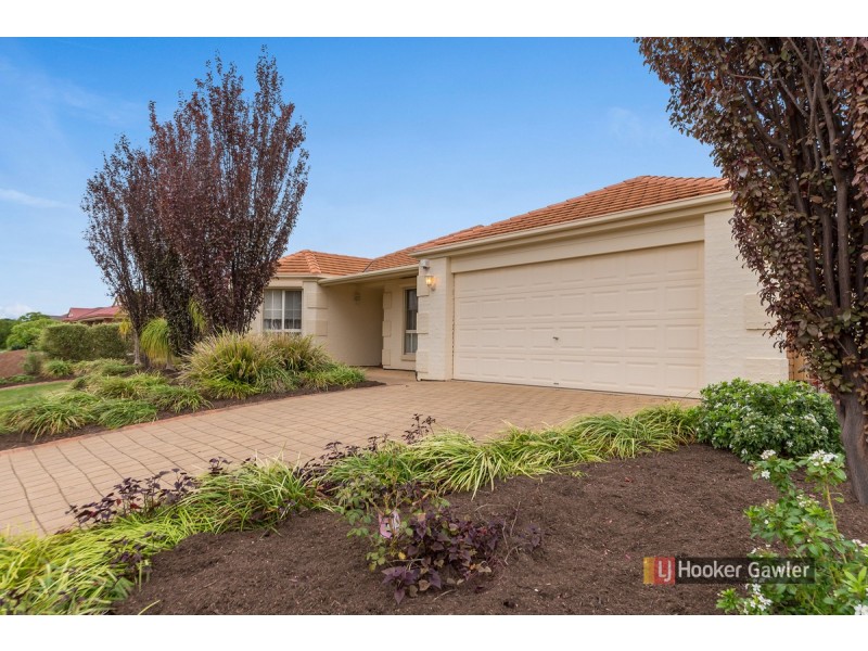 24 Angas Avenue, Evanston Park SA 5116