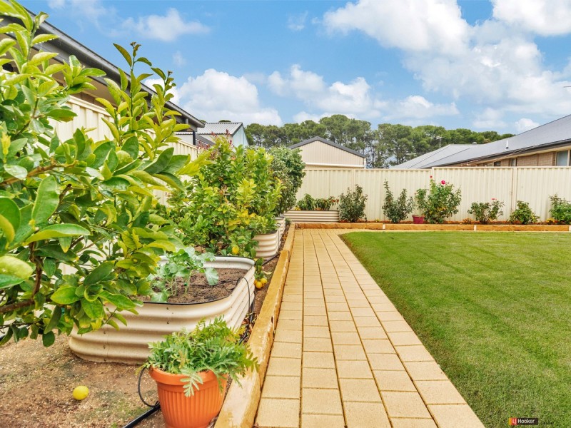 1 Hese Place, Freeling SA 5372