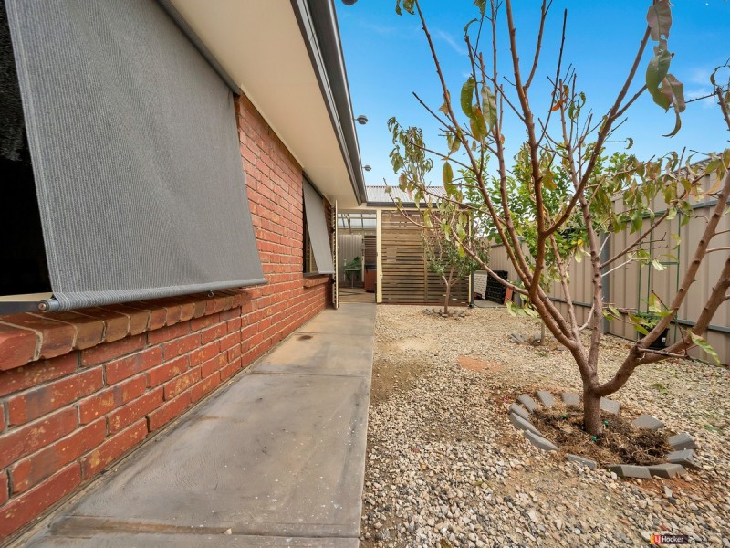 31 Angas Avenue, Evanston Park SA 5116