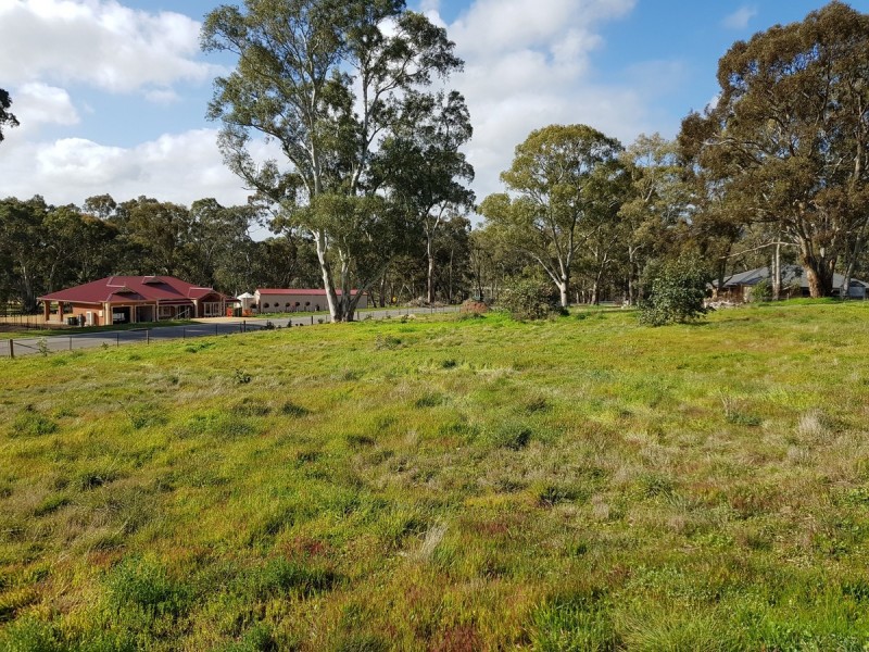 3 Cyril Minge Road, Williamstown SA 5351