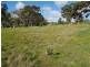 3 Cyril Minge Road, Williamstown SA 5351