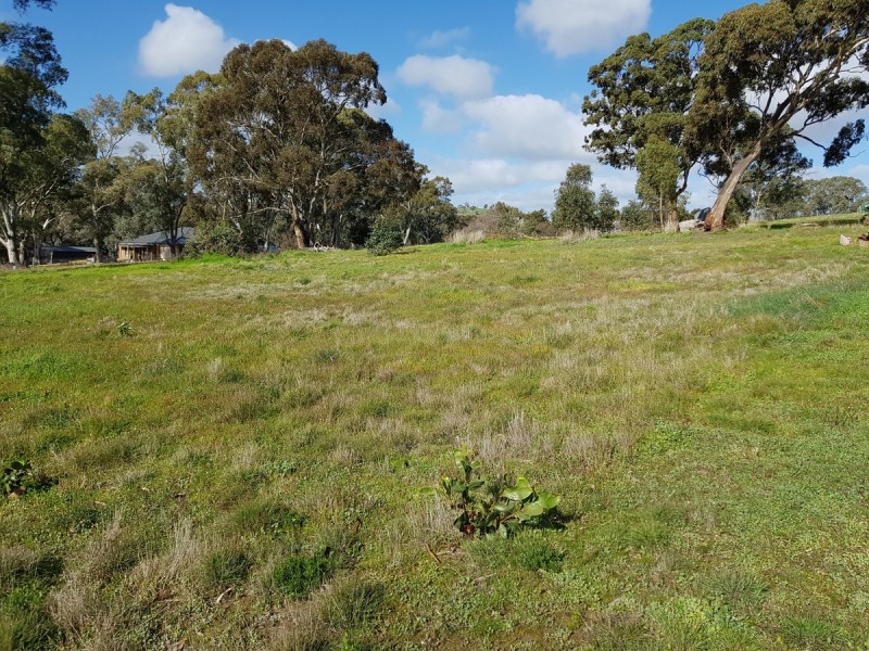 3 Cyril Minge Road, Williamstown SA 5351