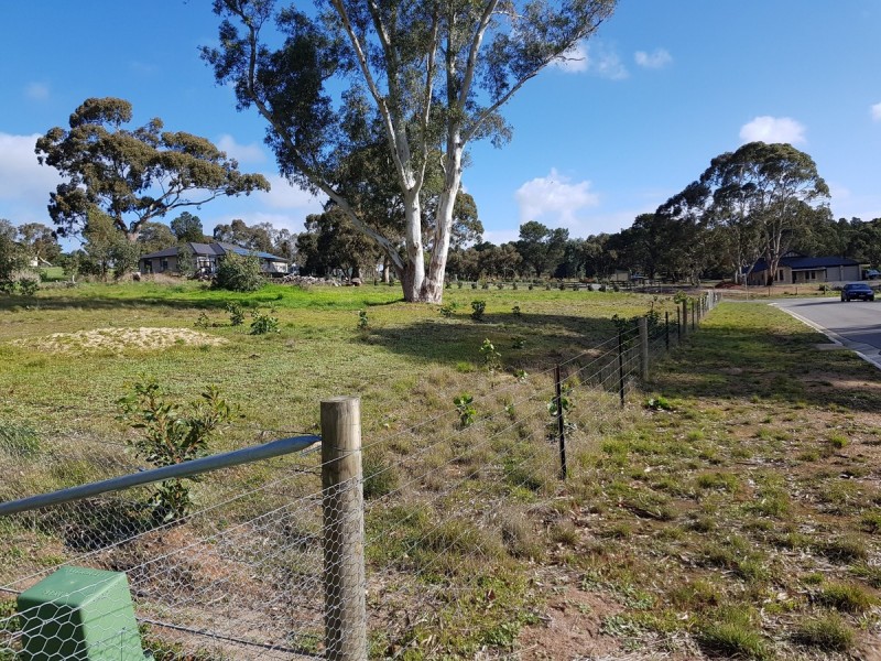3 Cyril Minge Road, Williamstown SA 5351