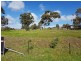 3 Cyril Minge Road, Williamstown SA 5351
