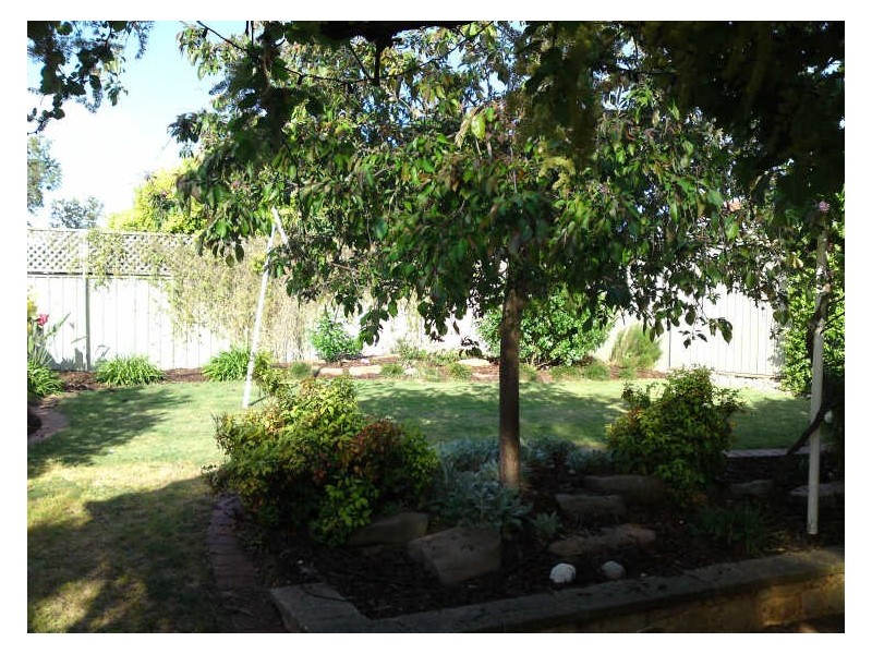 48 Coombe Street, Gawler East SA 5118