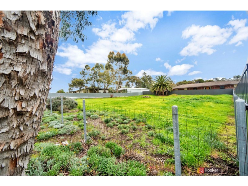 8A Fergusson Court, Lyndoch SA 5351