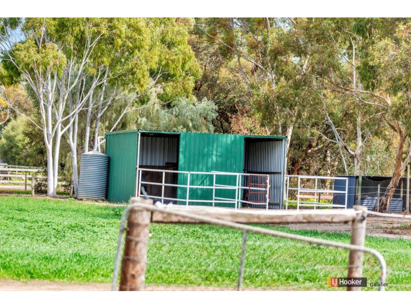 1 Peppermint Road, Lewiston SA 5501