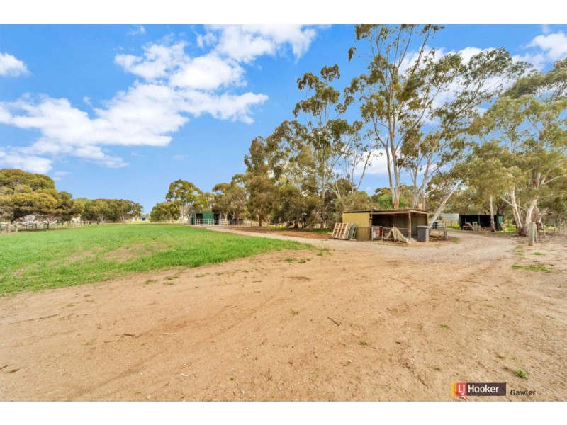 1 Peppermint Road, Lewiston SA 5501