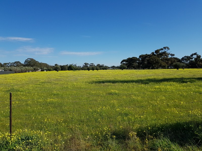 Lot 28/ Daniel Road, Kudla SA 5115