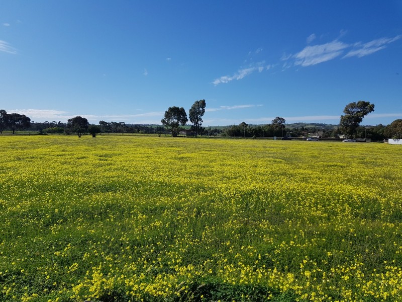 Lot 28/ Daniel Road, Kudla SA 5115