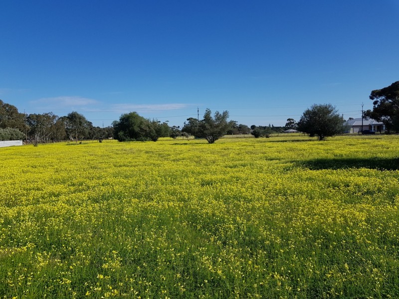 Lot 28/ Daniel Road, Kudla SA 5115