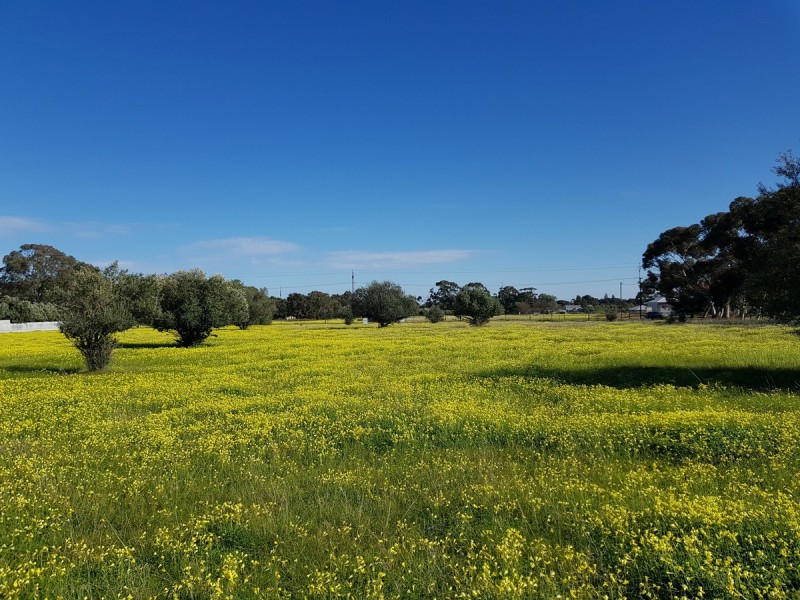 Lot 28/ Daniel Road, Kudla SA 5115