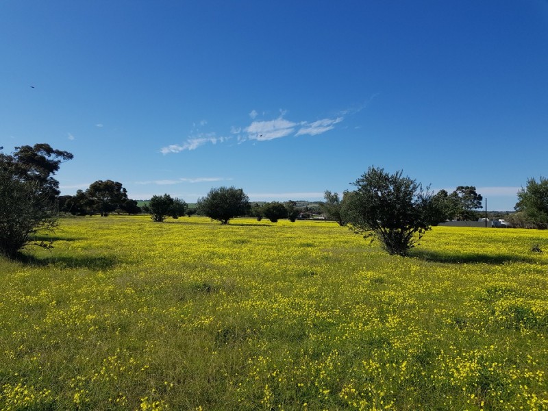 Lot 28/ Daniel Road, Kudla SA 5115