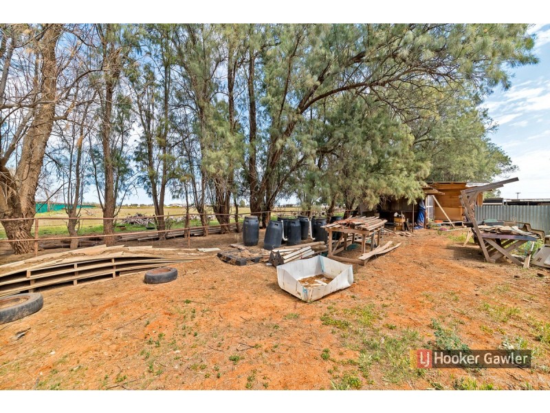 240 Robert Road, Virginia SA 5120