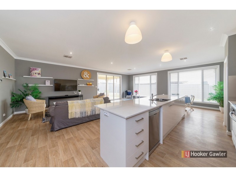 35 Campbell Circuit, Gawler East SA 5118