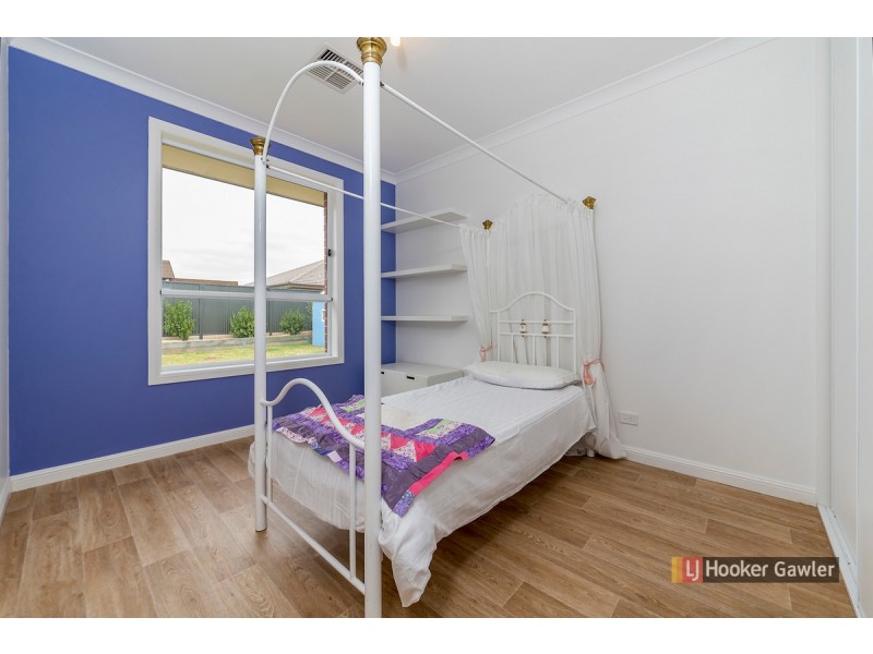 35 Campbell Circuit, Gawler East SA 5118